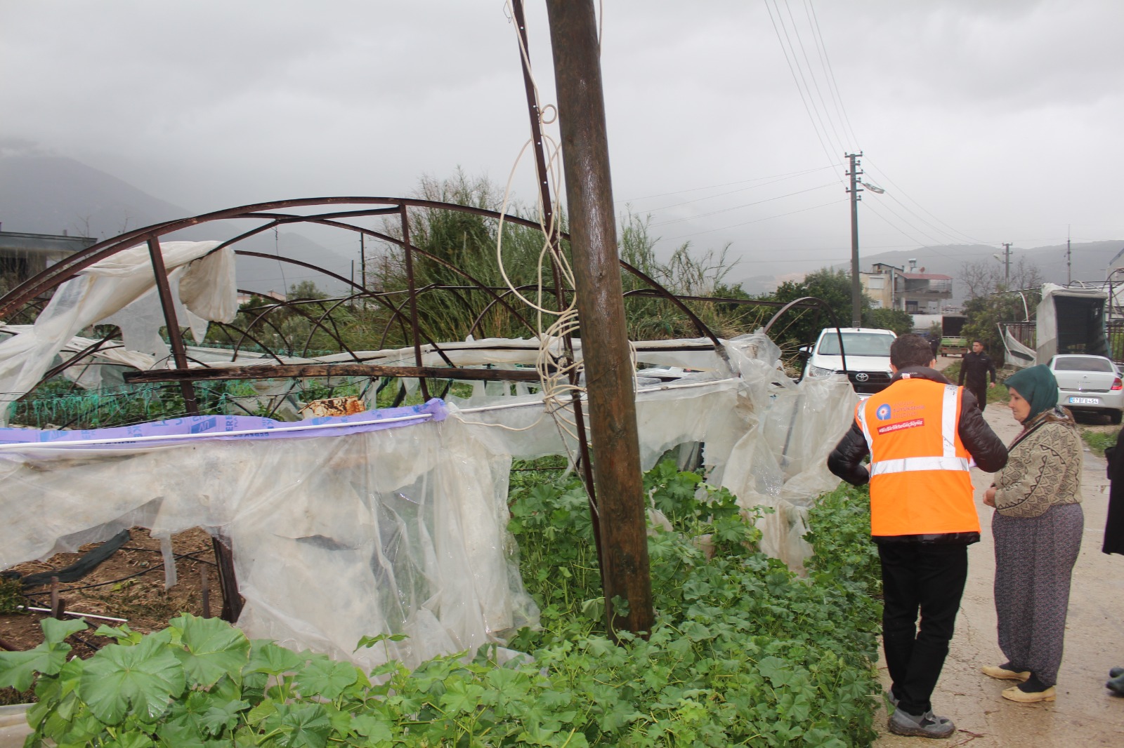 Finikedehortumunyaralariniantalyabuyuksehirsardi