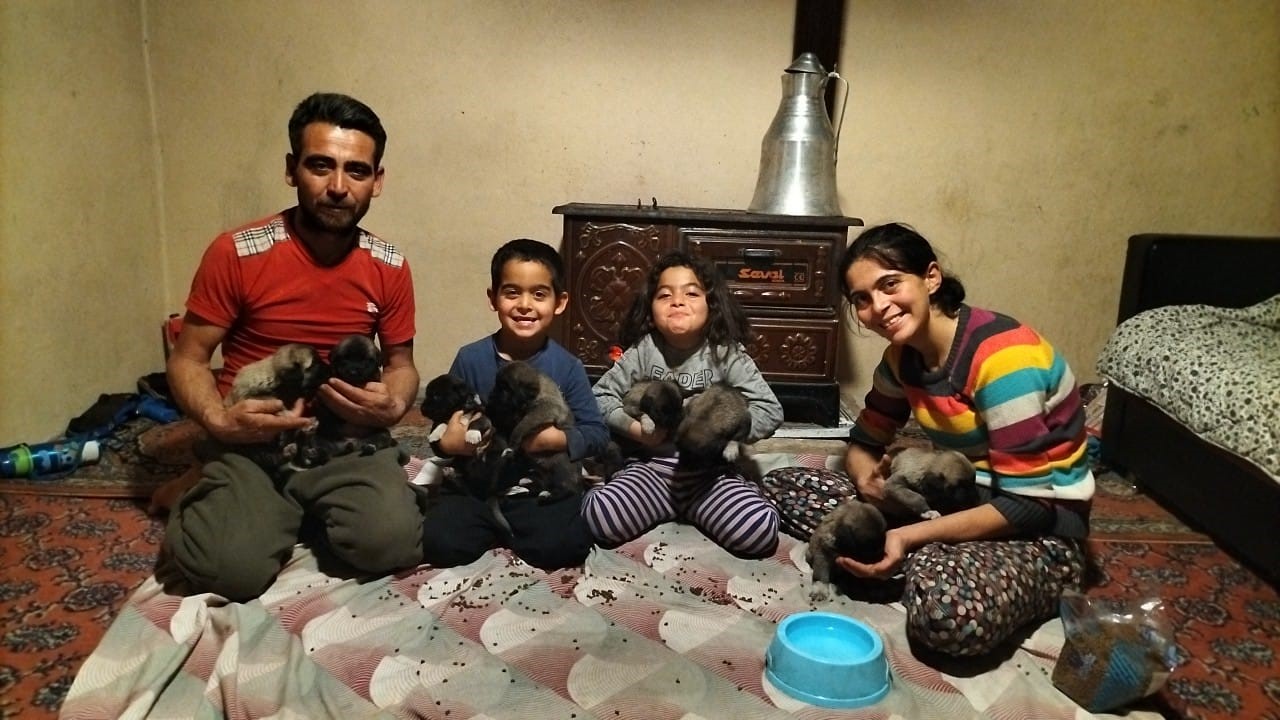 Firtinadahayvanlarasahipcikti