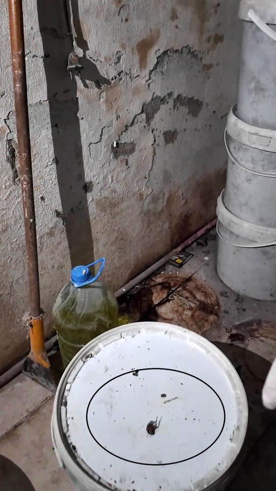 Gıdadenetiminhijyenproblemi