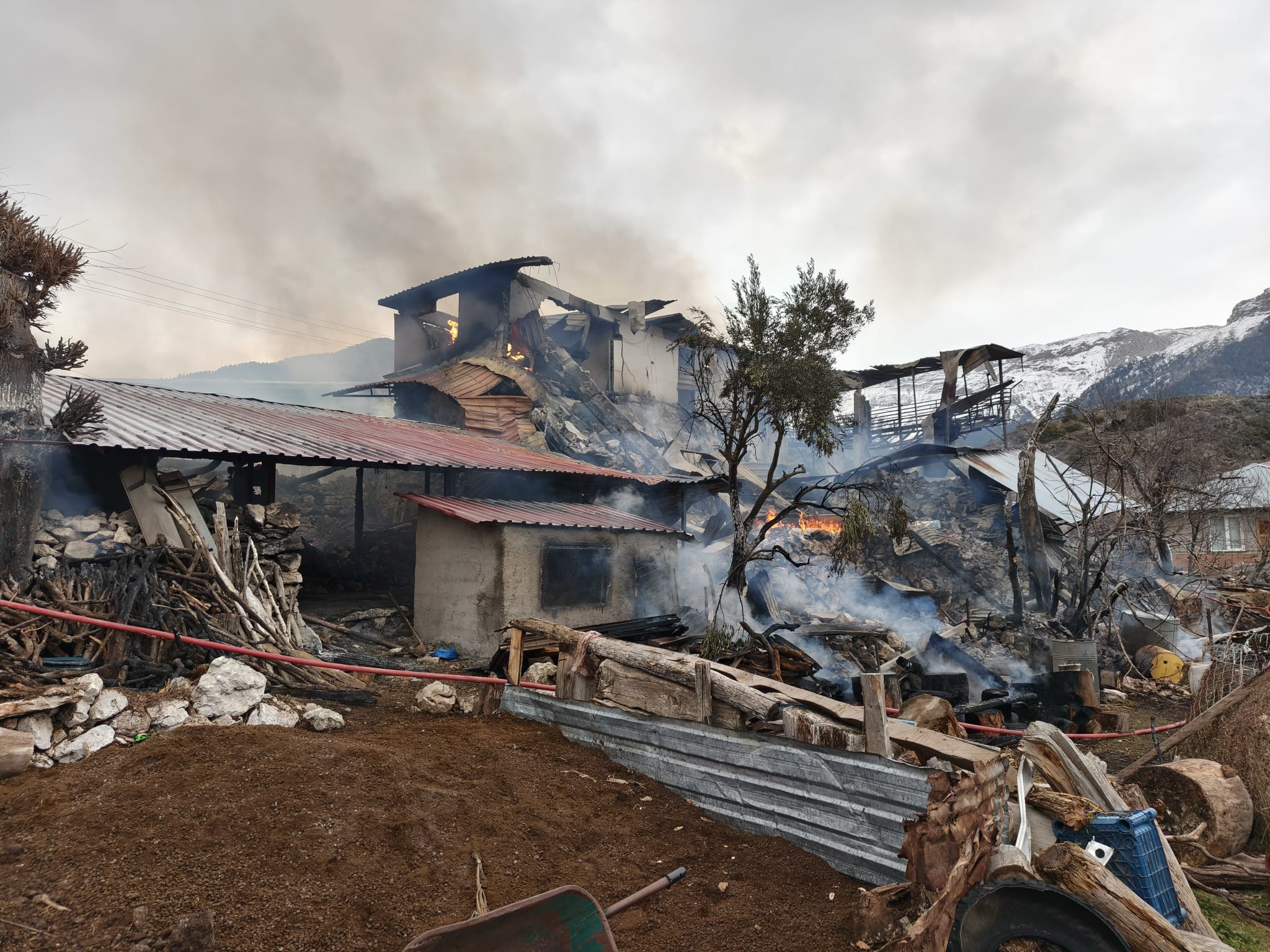 Gundogmustaevkuledondu