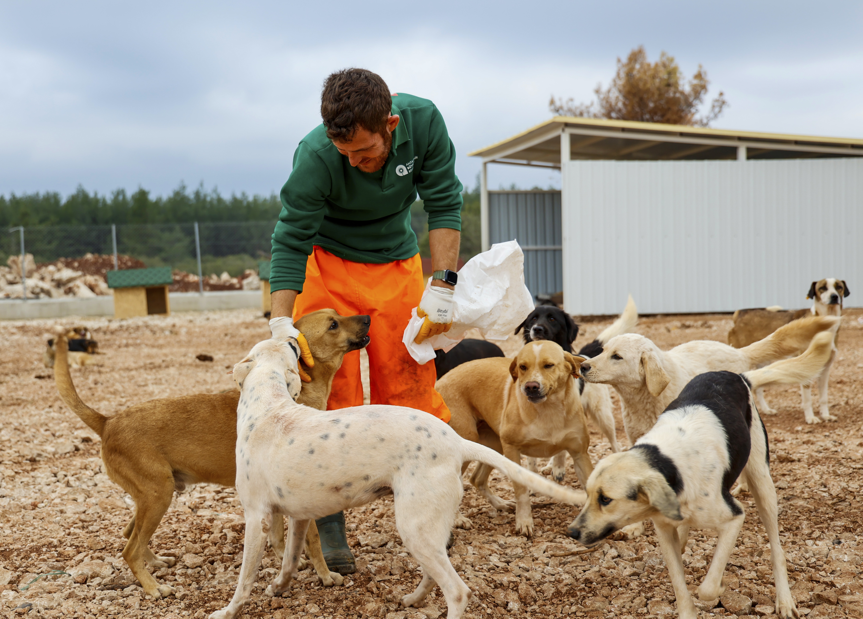 Hayvanlaraozelrehabilitasyonmerkezi