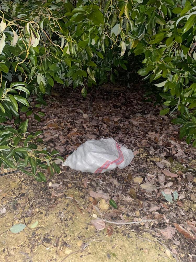 Hırsızlarınhedefindebukezavakodobahcesioldu