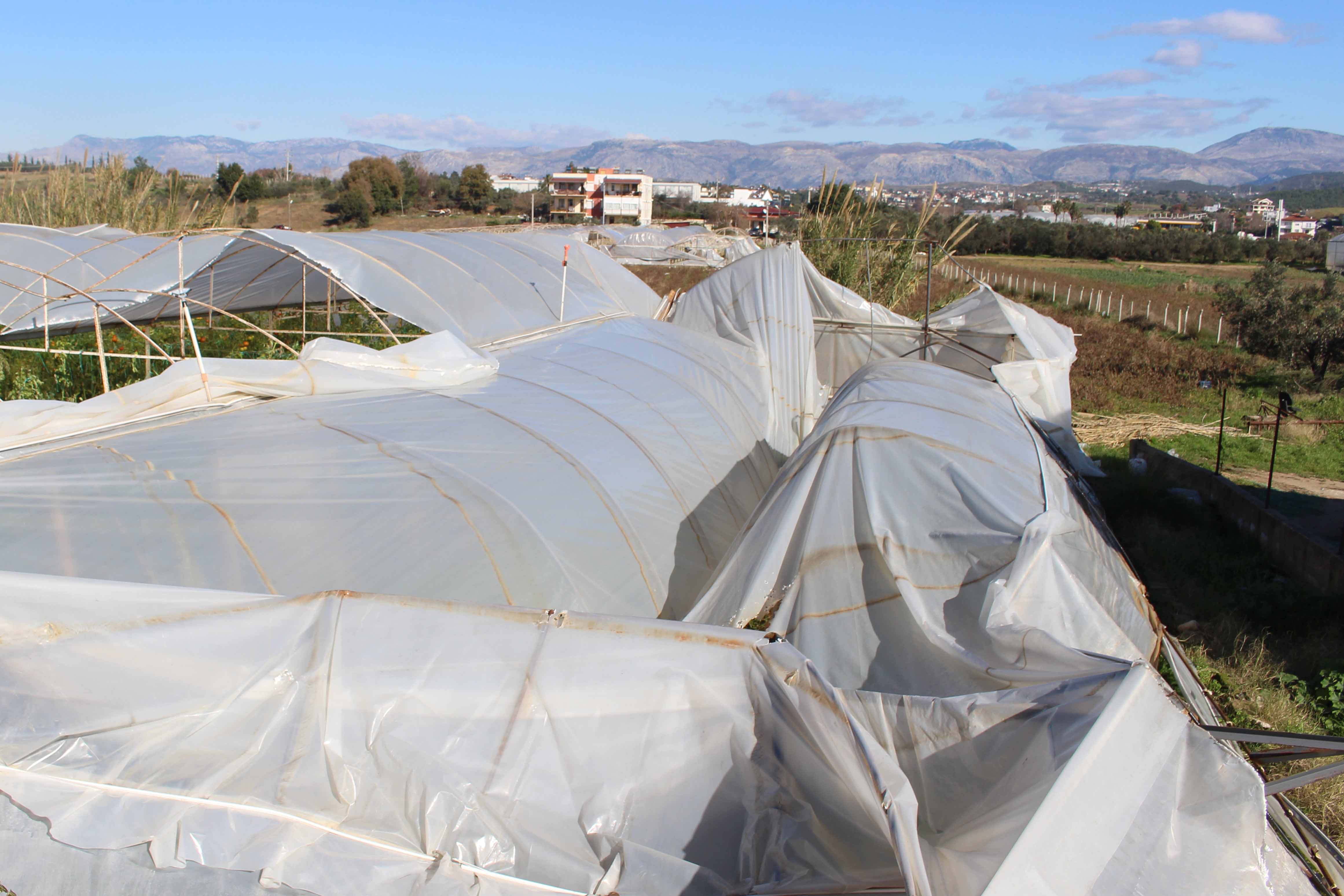 Hortumsebebiylemanavgattaseralarzarargordu