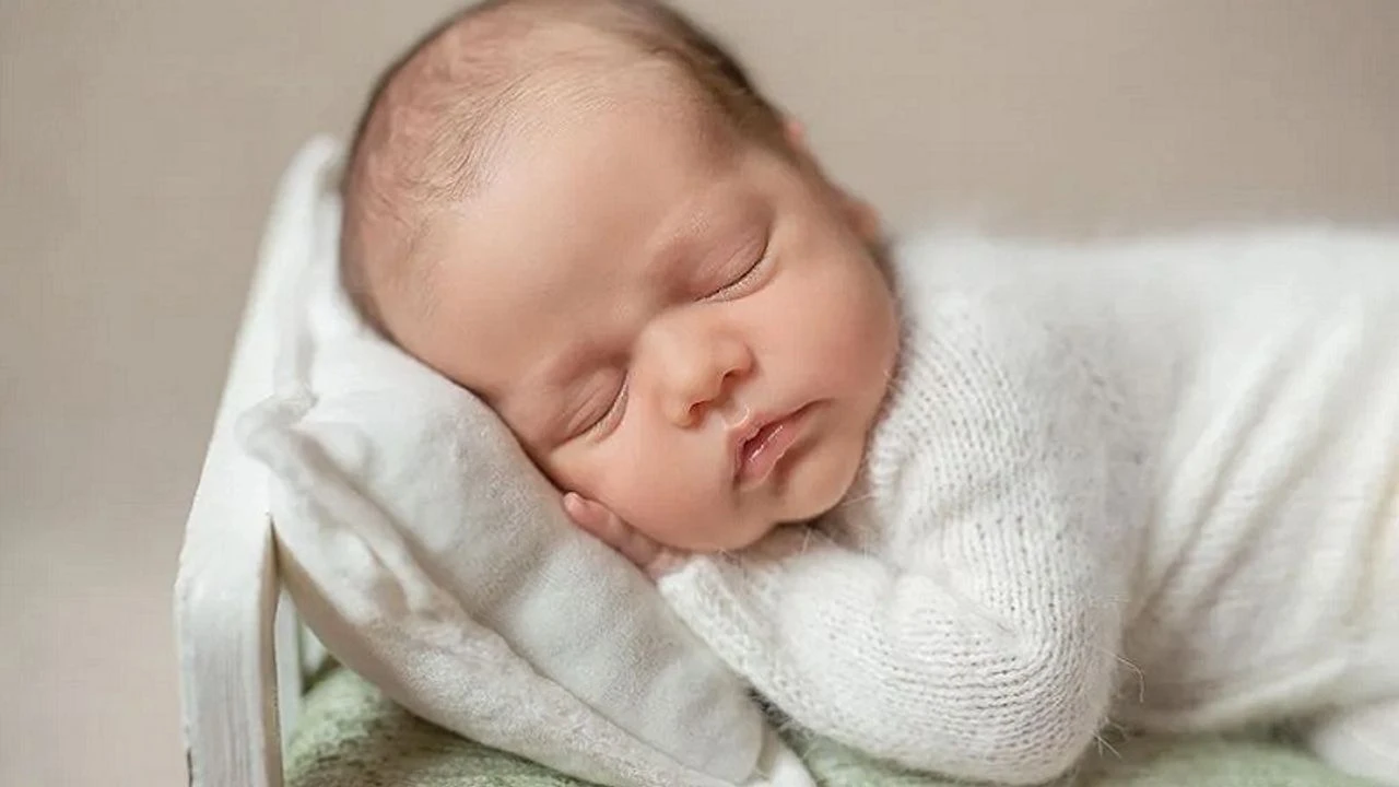 Kacbebekdogduencokhangiisimlerverildi