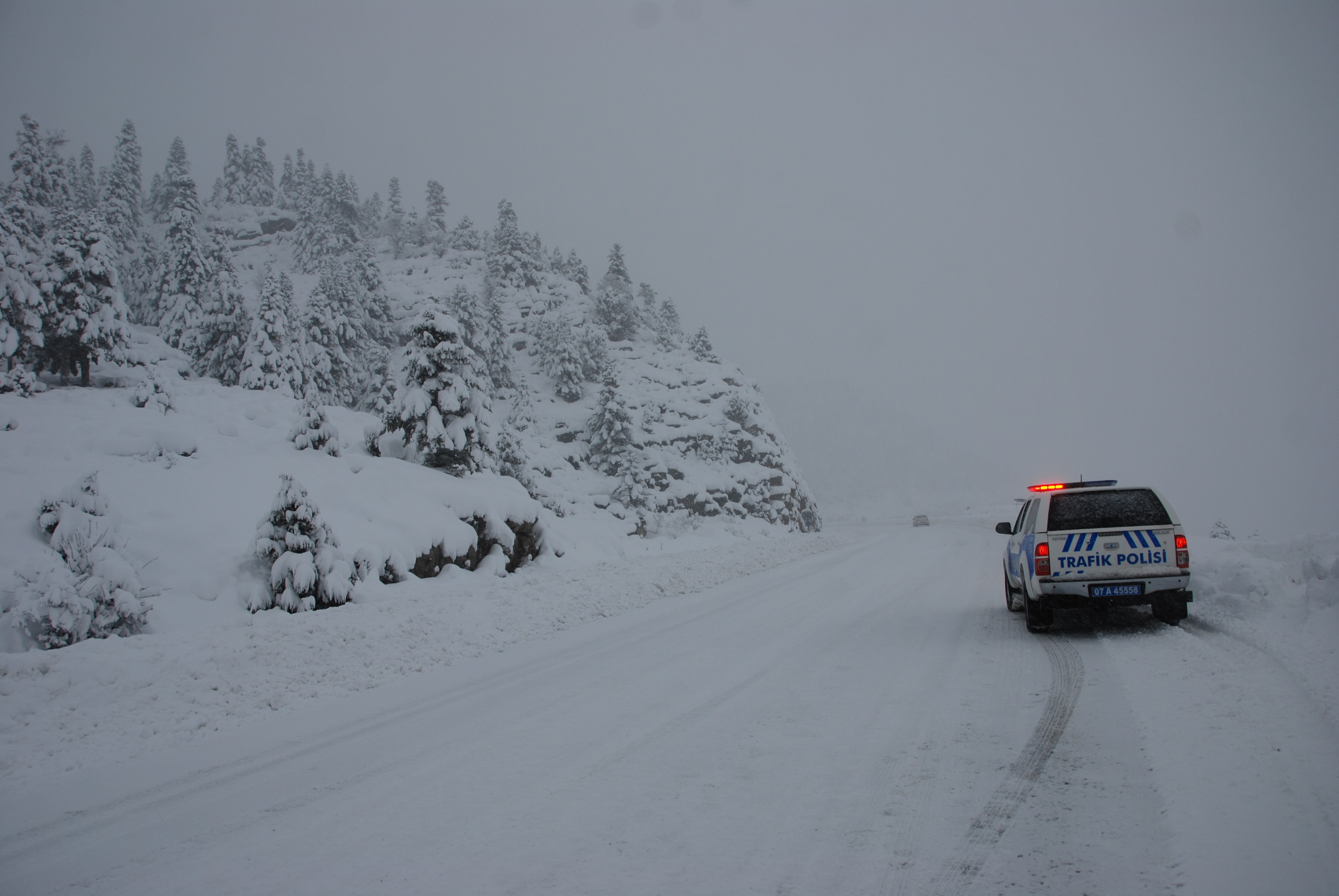 Karyagisialacabeldebasladi