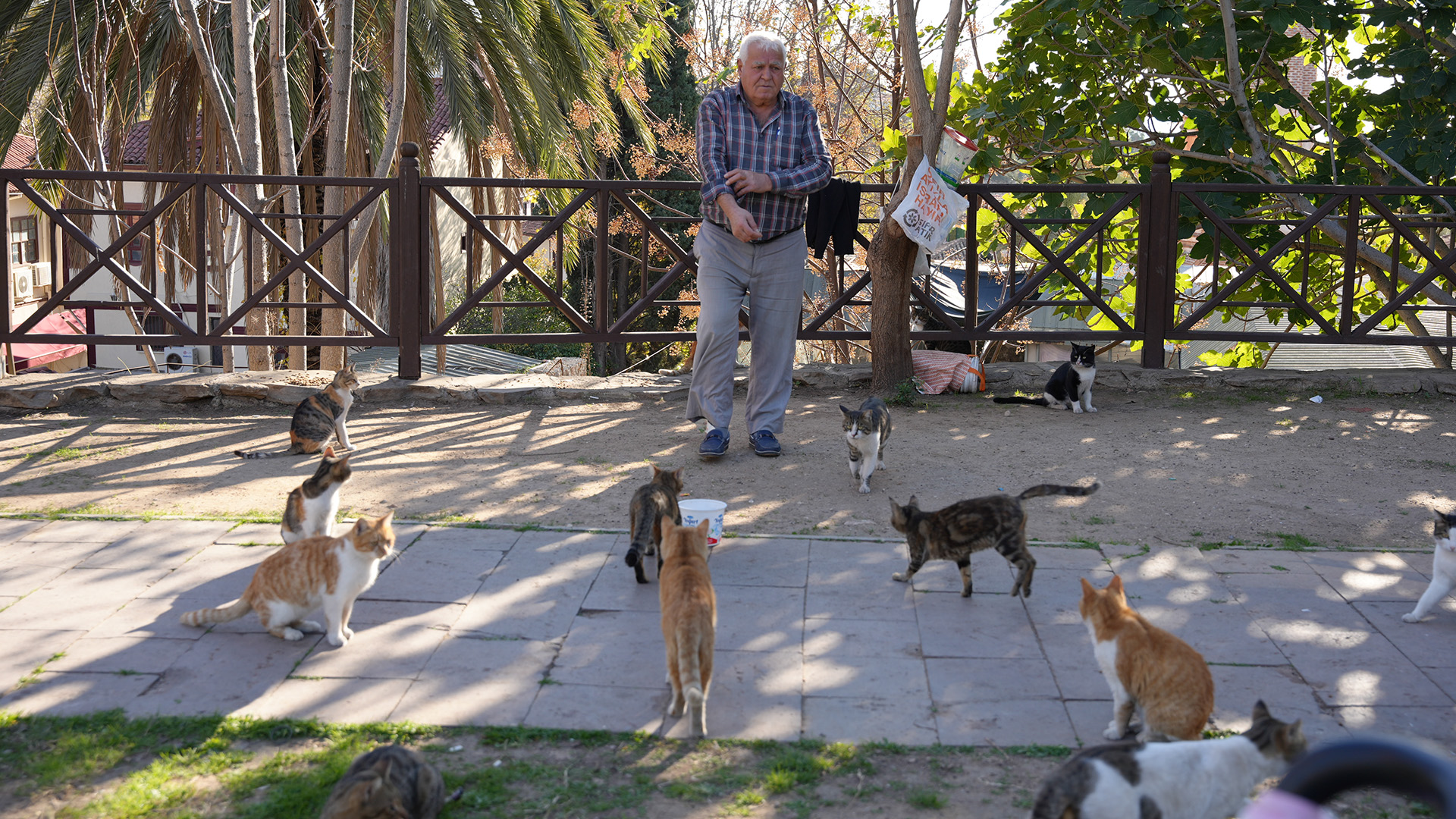 Kimidestekliyorkimisiddetuyguluyor-1