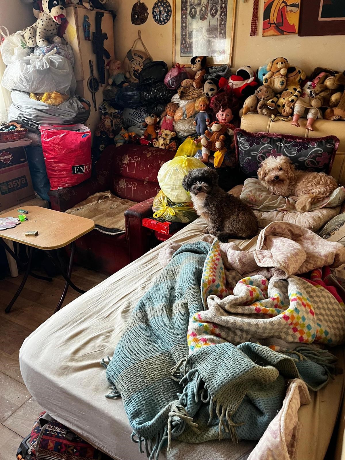 Kocaelide İhbarlahareketegectiler