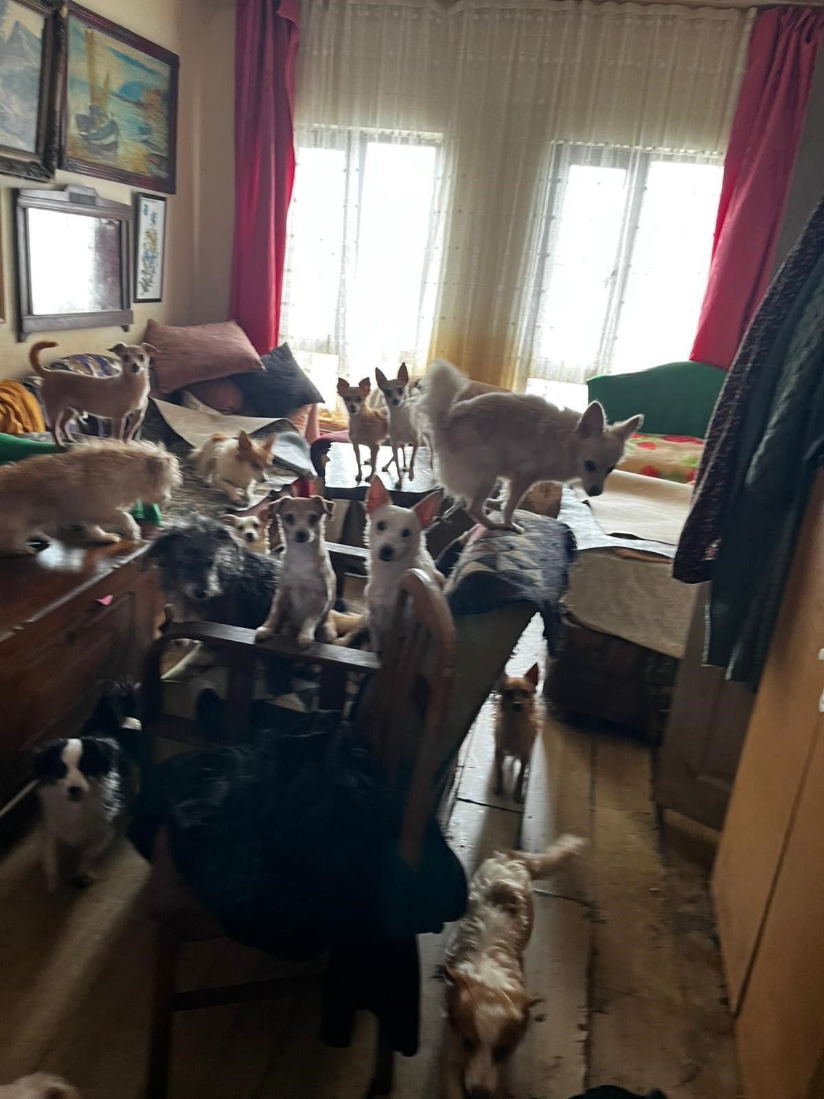 Kocaelide İhbarlahareketegectilergorduklerimanzarailesokeoldular