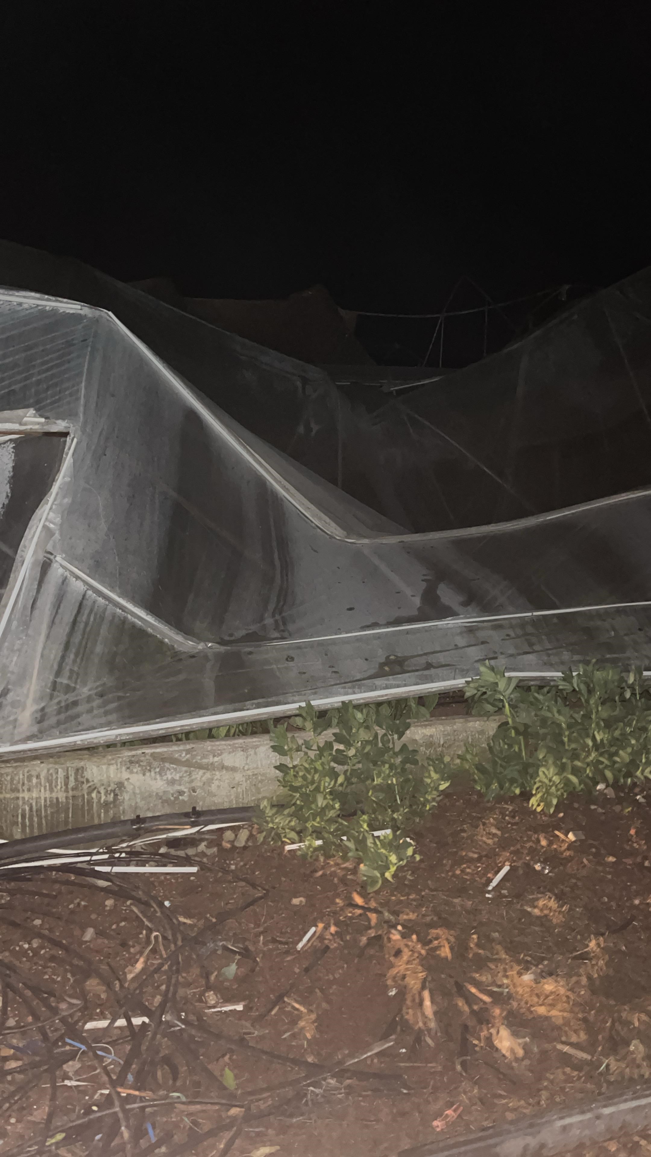 Korkulukcamlarihortumdankirildi