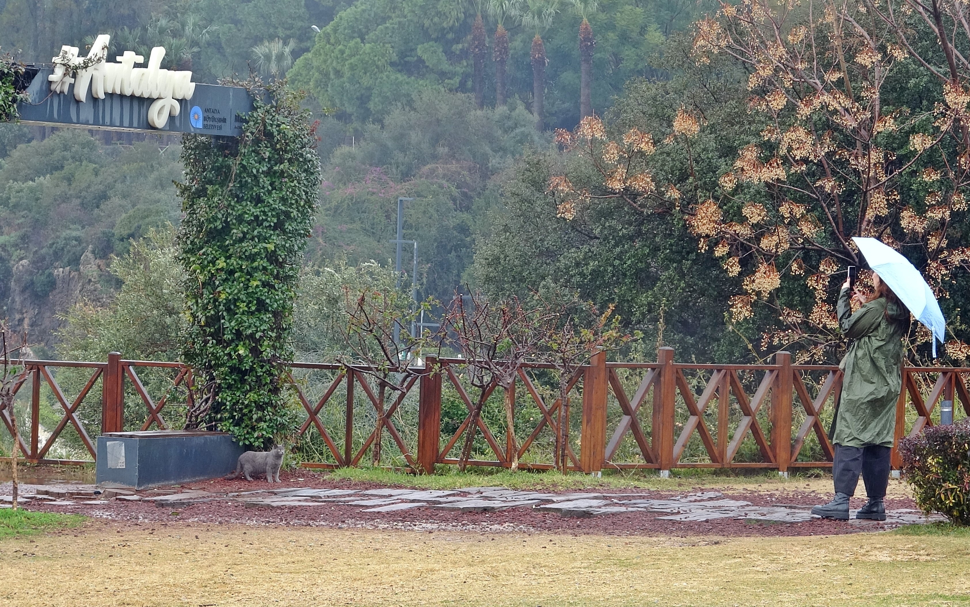 Saganakyagiseetkisiniyitirdi