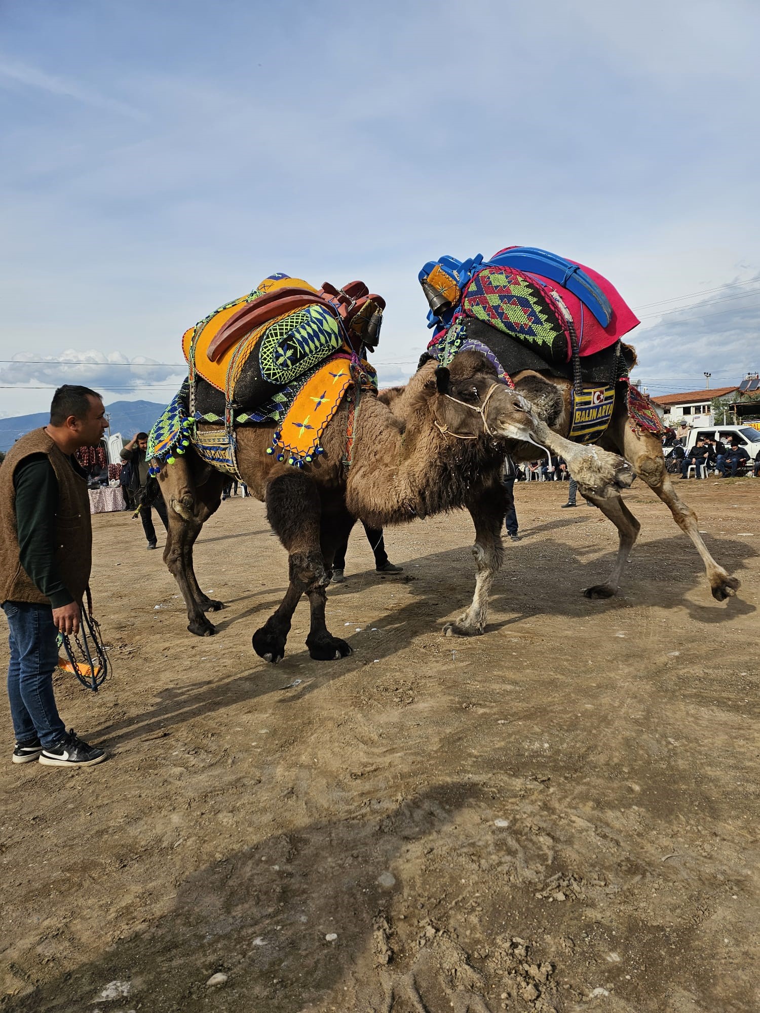 Sahipleriantrenmanlayetindi