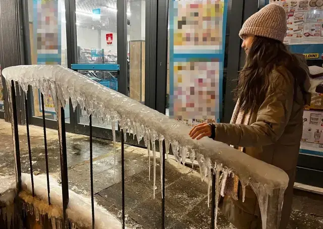 Sehirdekirpiklerdonduaraclarinkorumayontemidikkatcekti