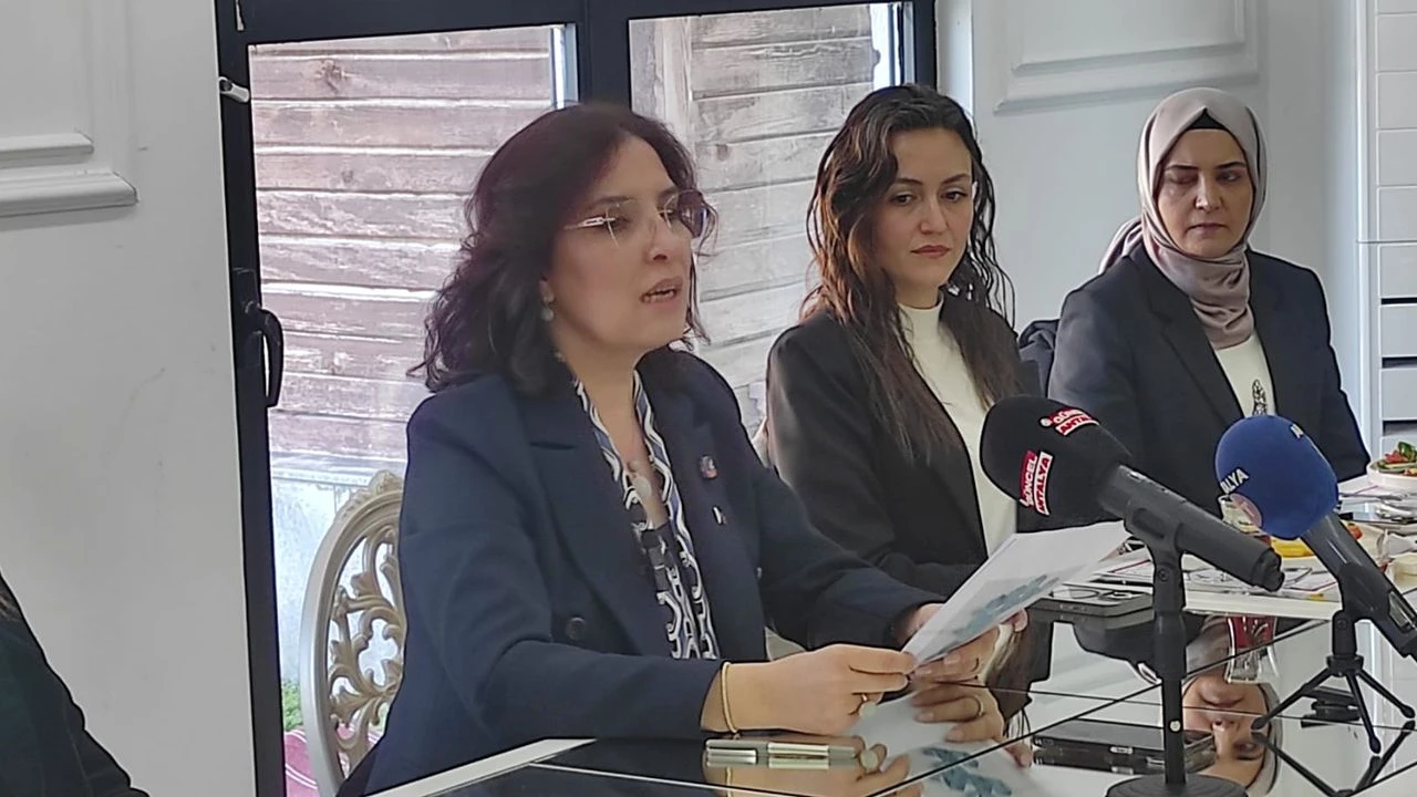 Sertsecimsureciadaybaskanelestirdimevcutbaskanbasarilarinisiraladi