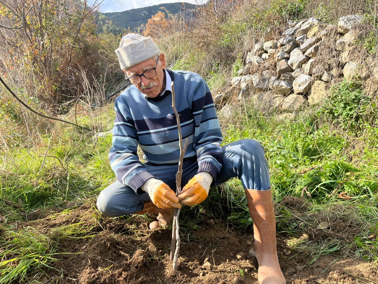 Tarimaboylesahipcikiyor