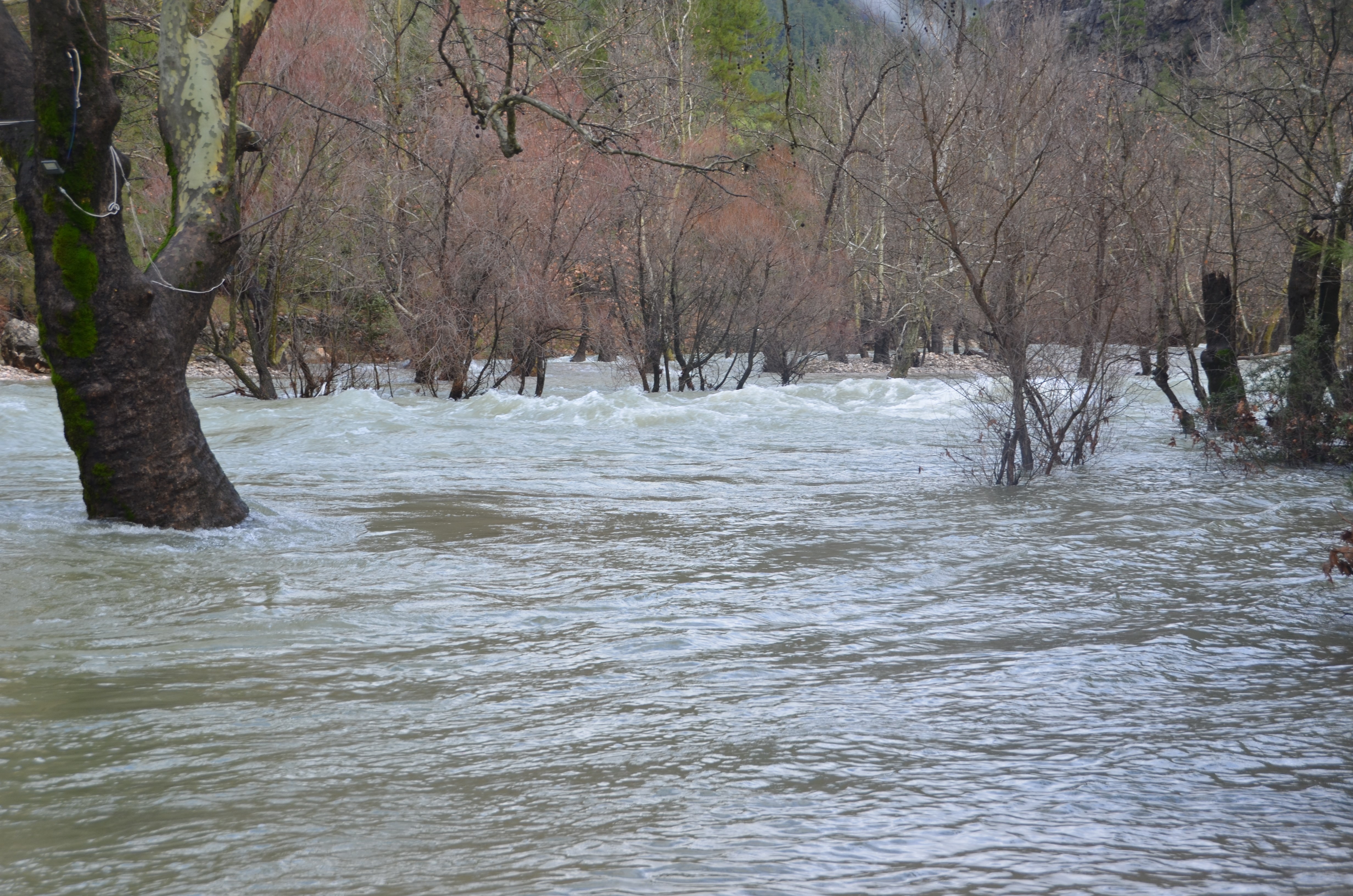 Uzumdereirmagisuyladoldu