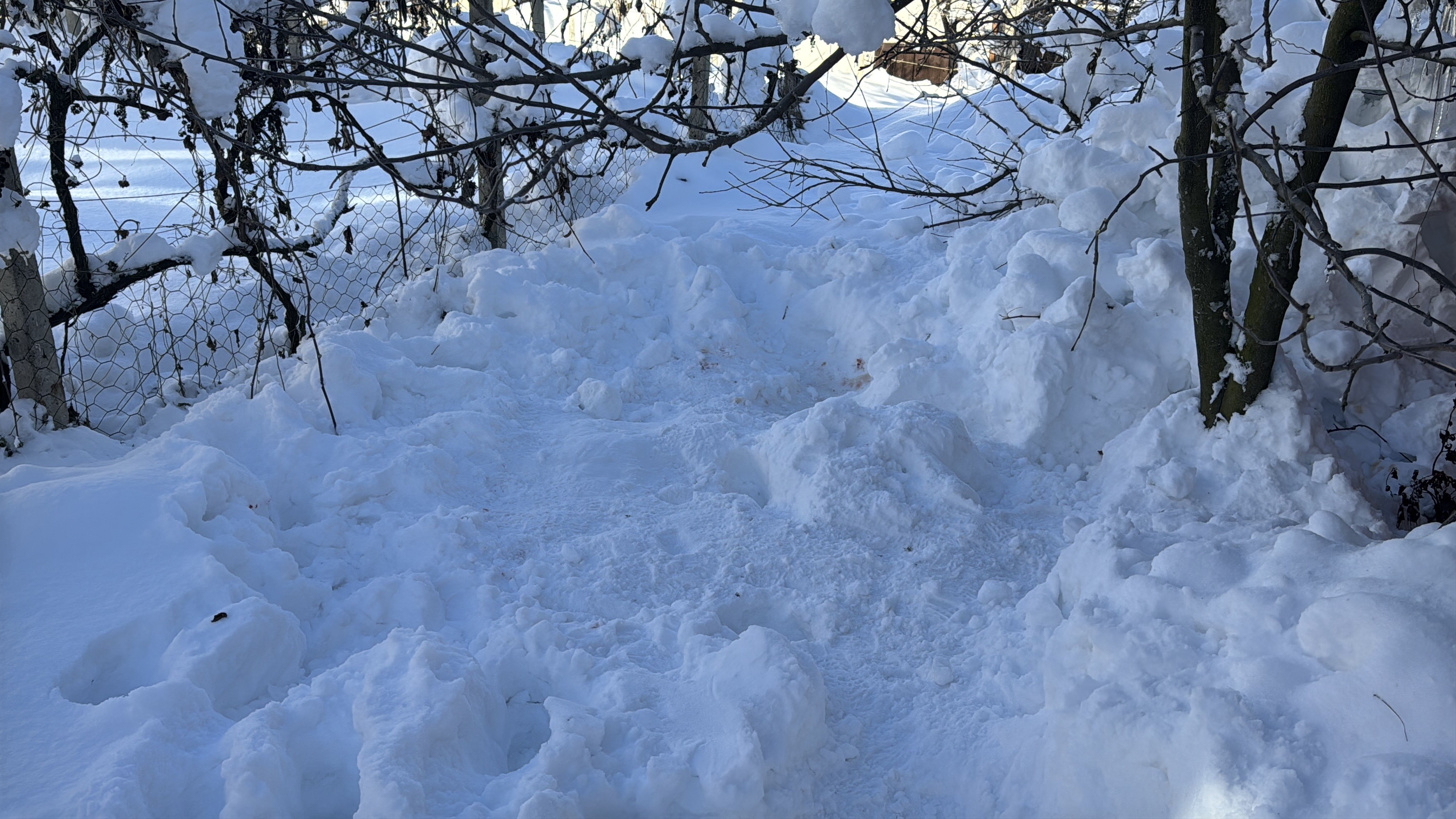 Yaslikadindanacihabergeldi-1