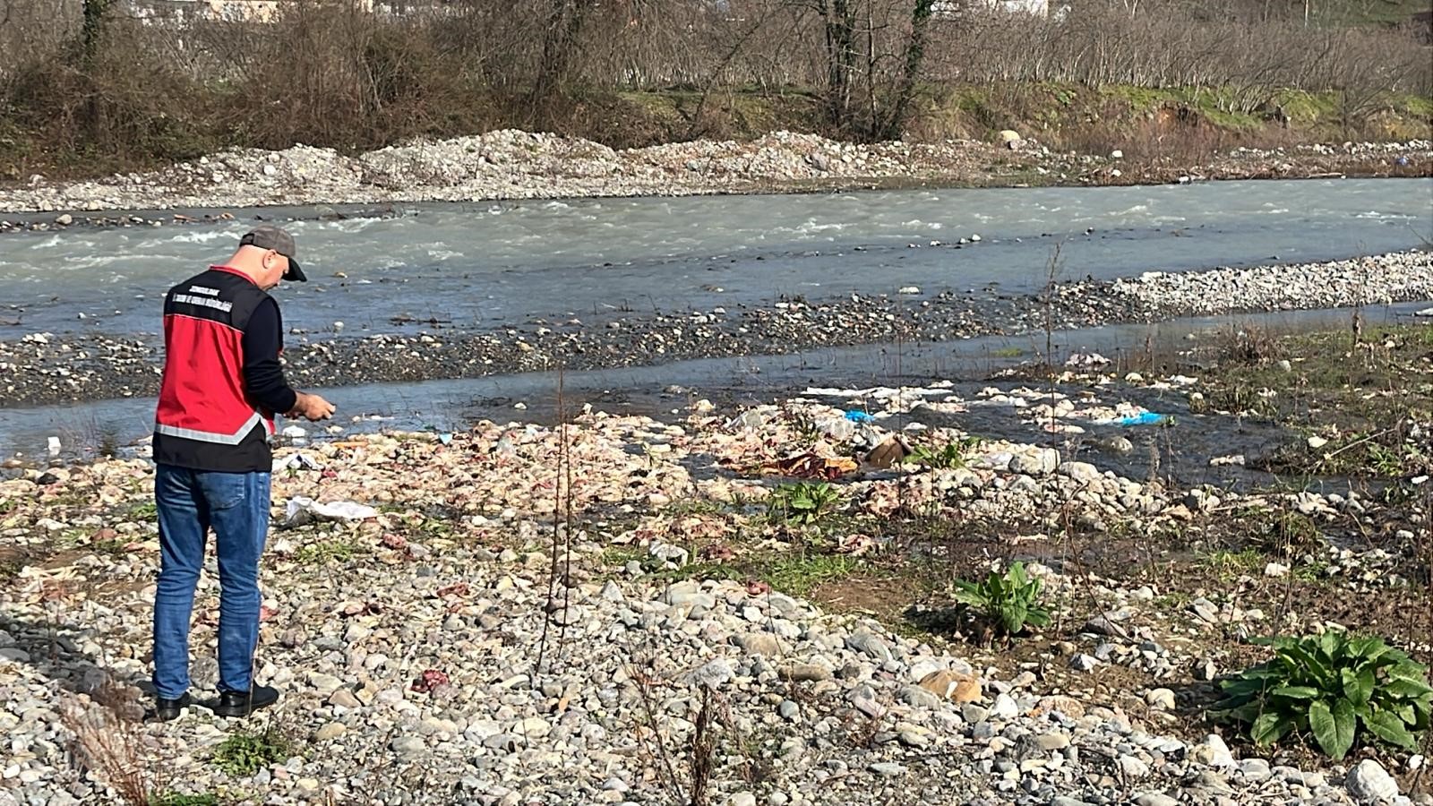 Zonguldaktacayyatagindasokeedengoruntuonlarcatavukolusutedirginetti