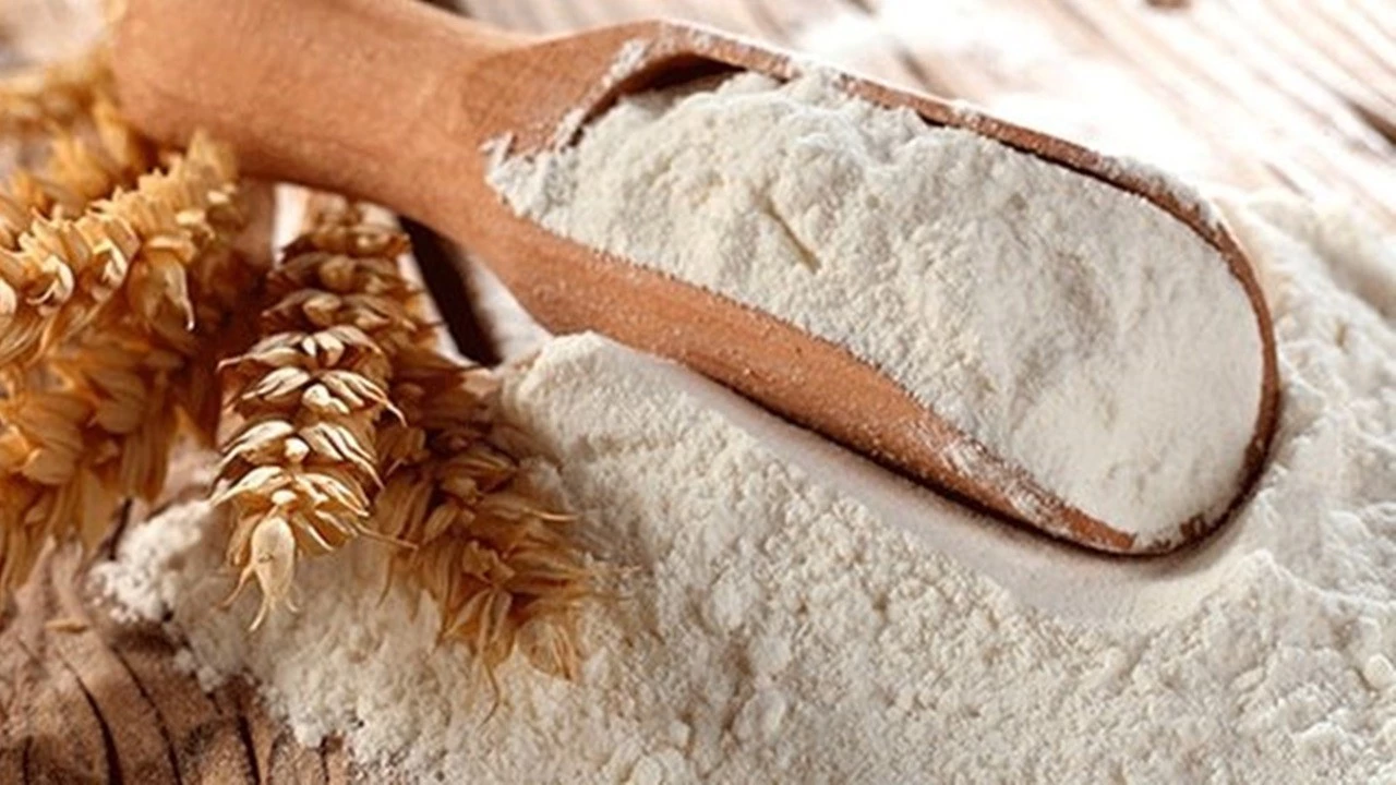 20Nciuluslararasikongrevesergisiantalyadabasladi