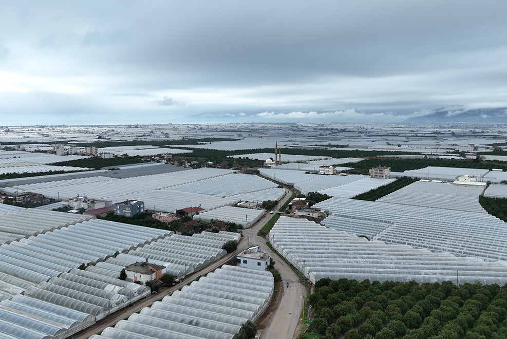 Afetyaralarinibuyuksehirsardi