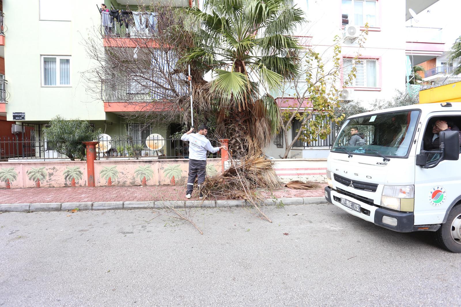 Agaclarbudaniyorsehirrahatnefesaliyor