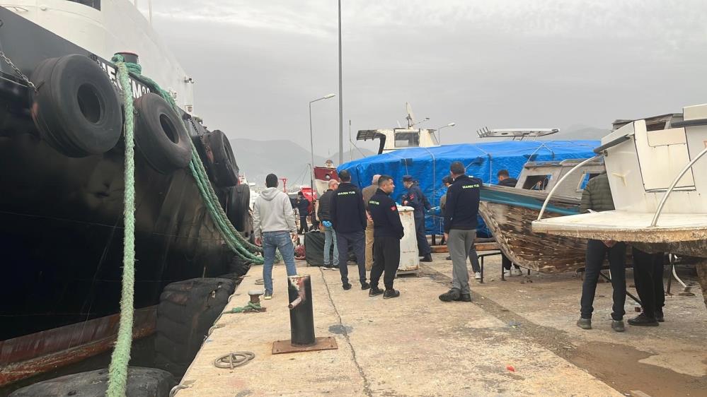 Alanyadadenizdeerkekcesedibulundu