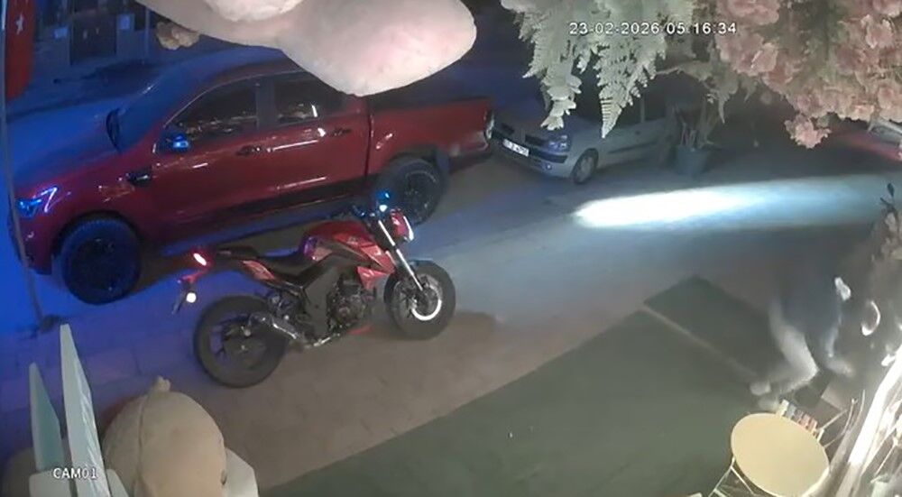 Alanyadapesdedirtengoruntu