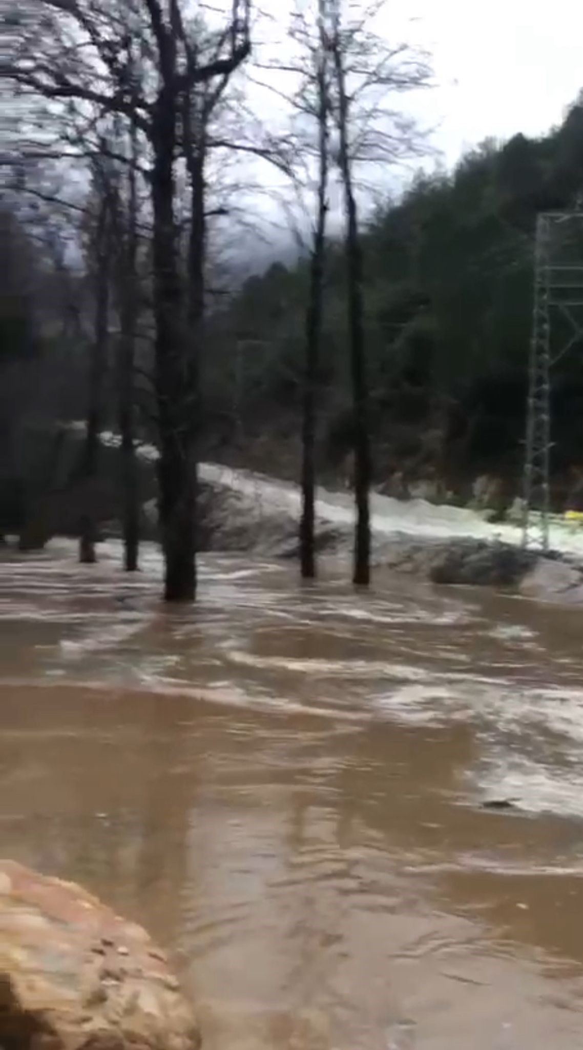 Alanyadasaganakhayatifelcettikoprusuyutasti