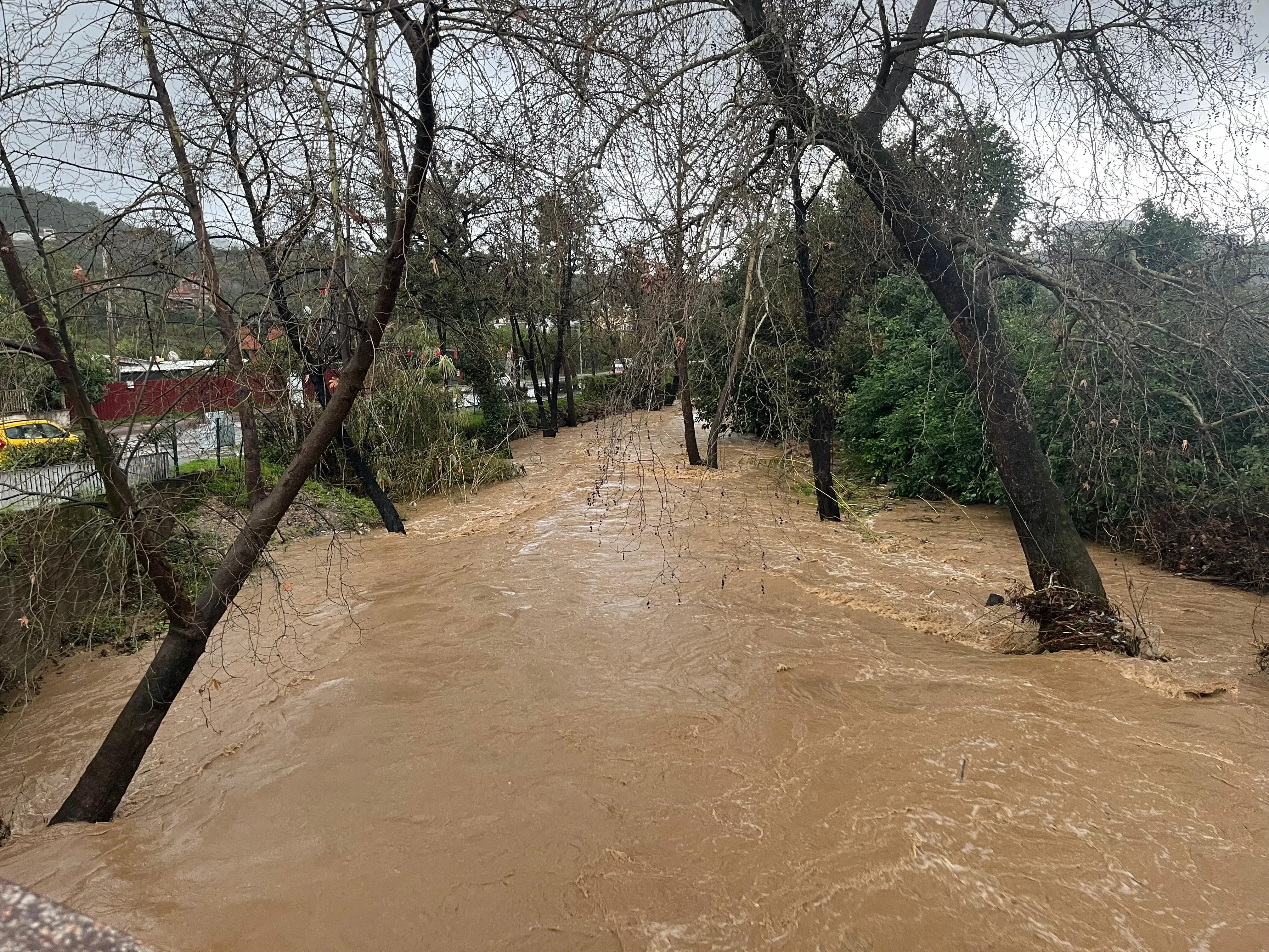 Alanyadasaganakhayatifelcettiobacayitasti