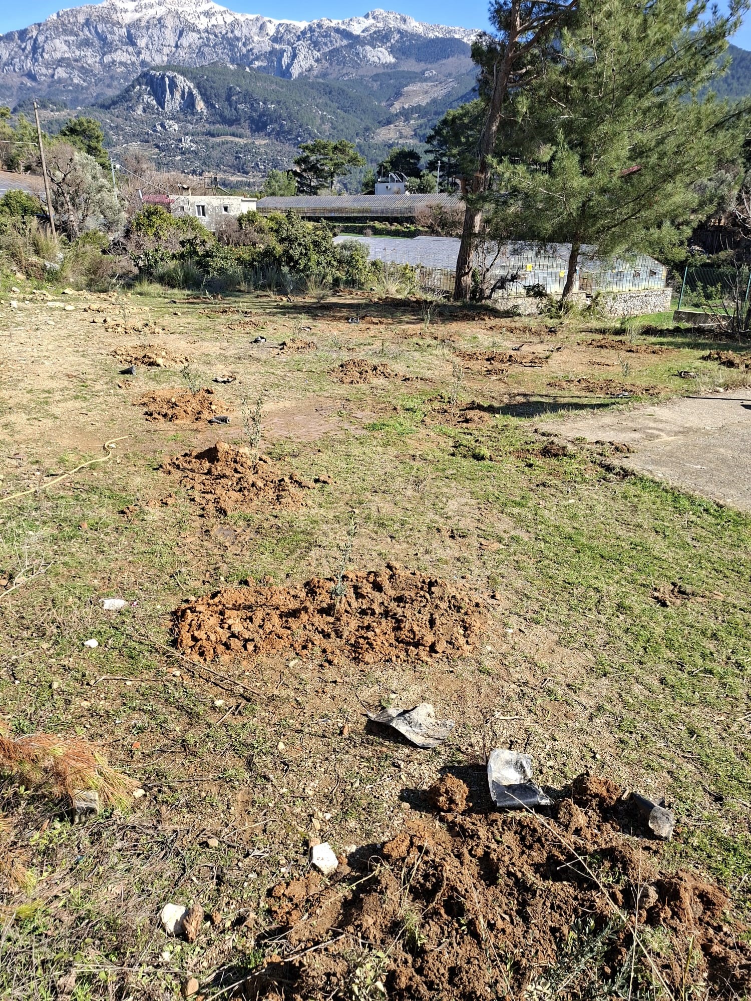 Antalyadadahayesilalanlar