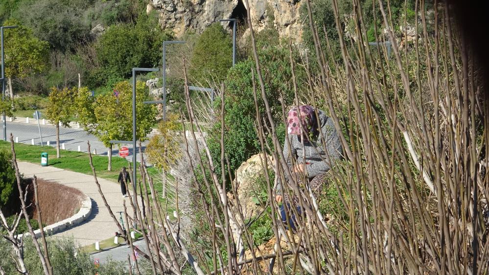 Antalyadaoglununbaskasehregideceginiogrenenannedentepki