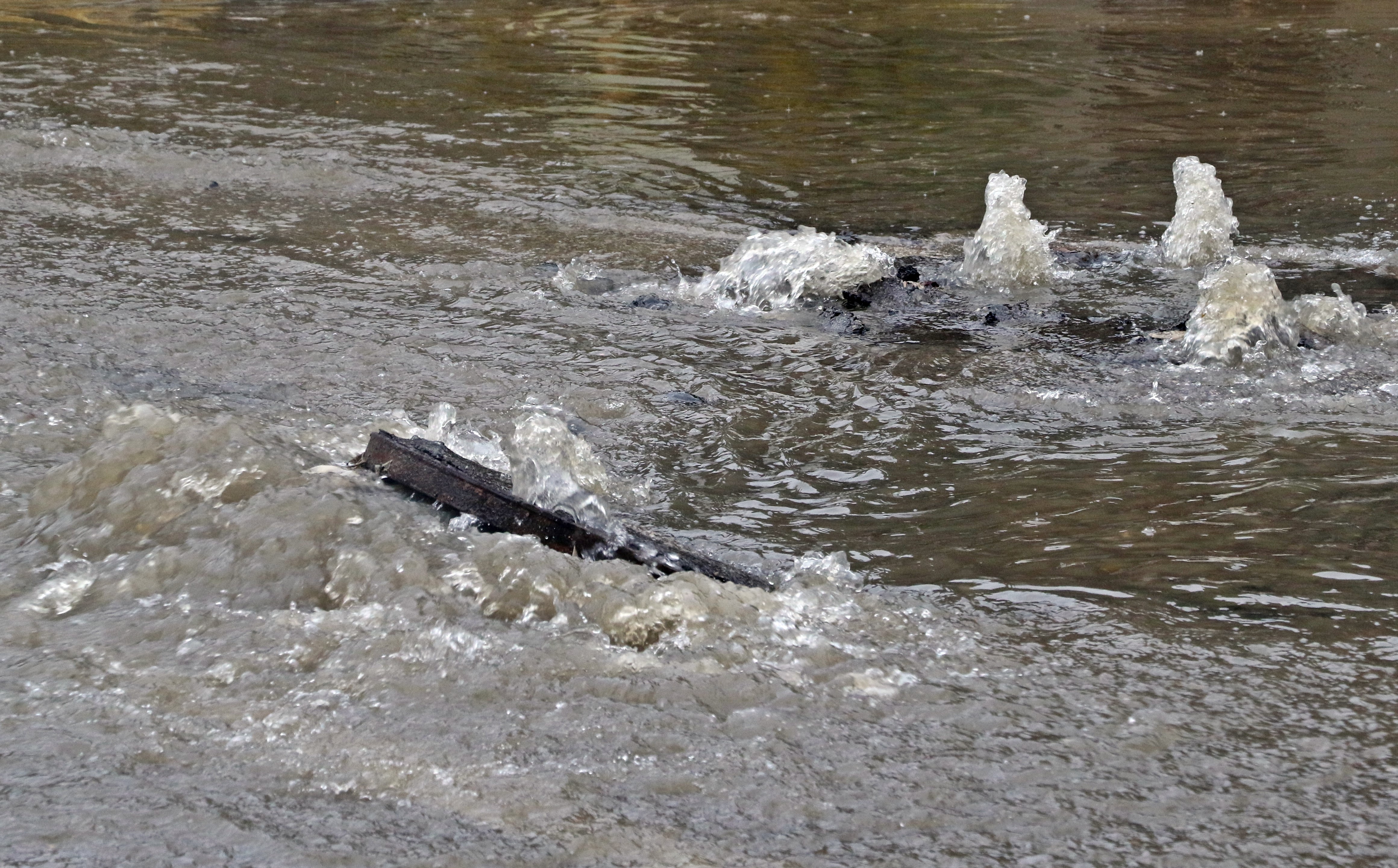 Antalyadasarikoduyarisi-1