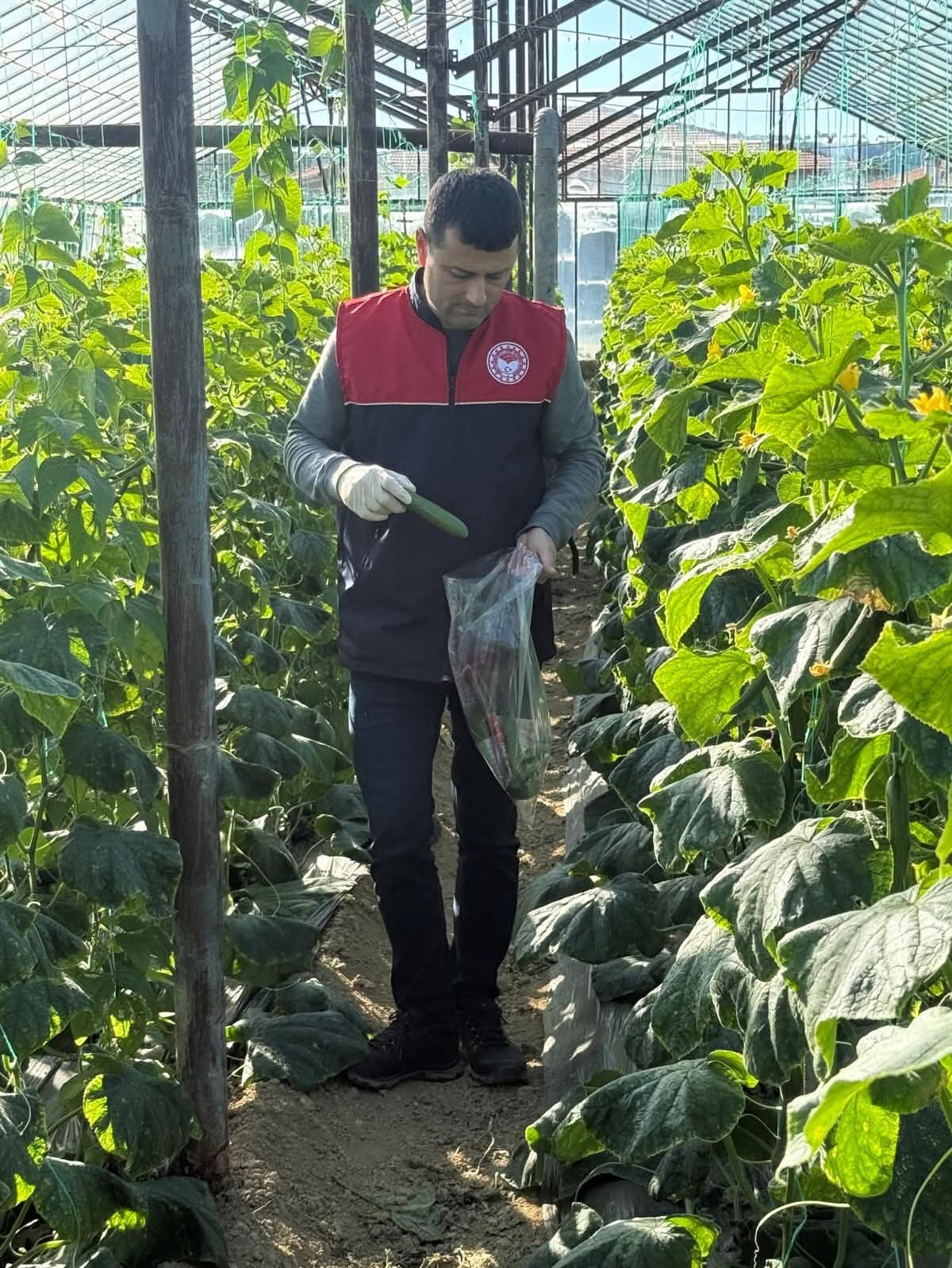 Antalyadaseralardadenetimurunlerimhaedilebilir