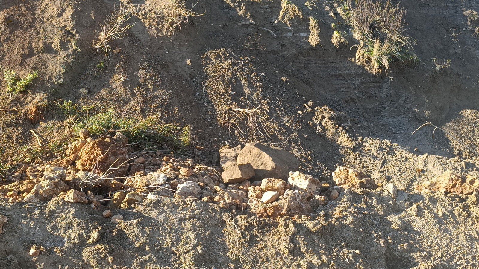 Antalyadatrafikguvenligisaglandi