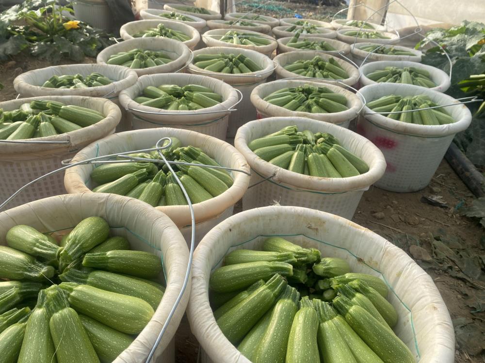 Antalyahalendeksiaciklandi-1