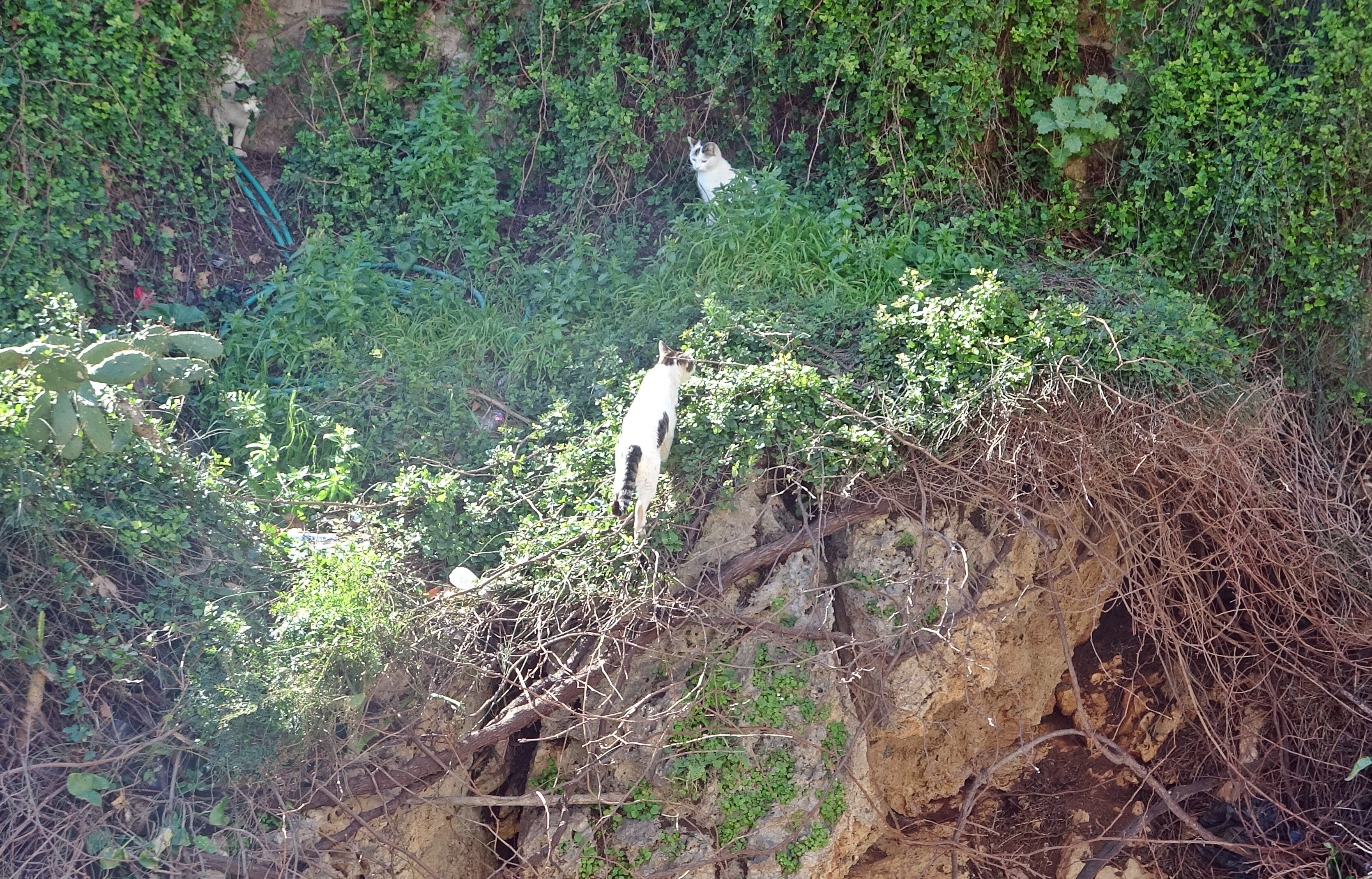 Ekiplerseferberoldu-4