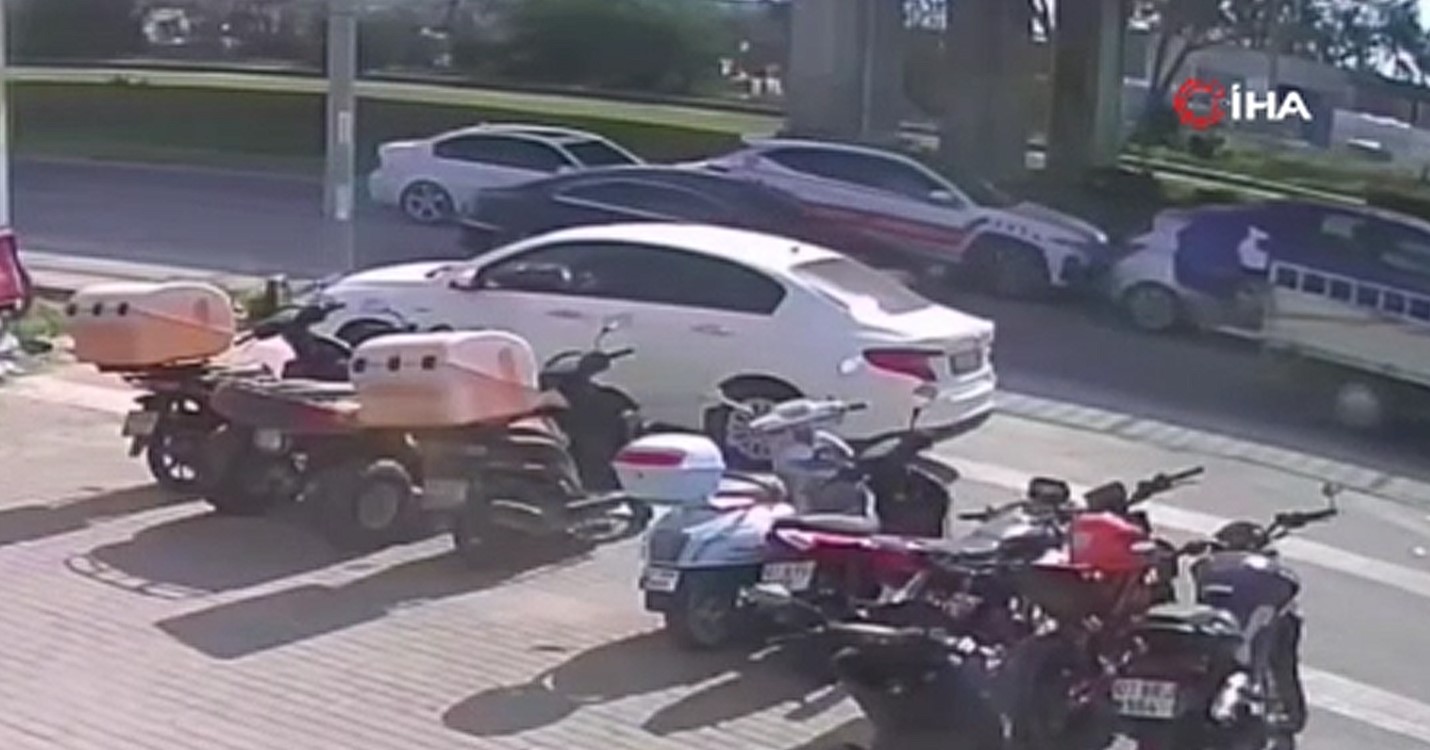 Jandarmaaracinacarptilar