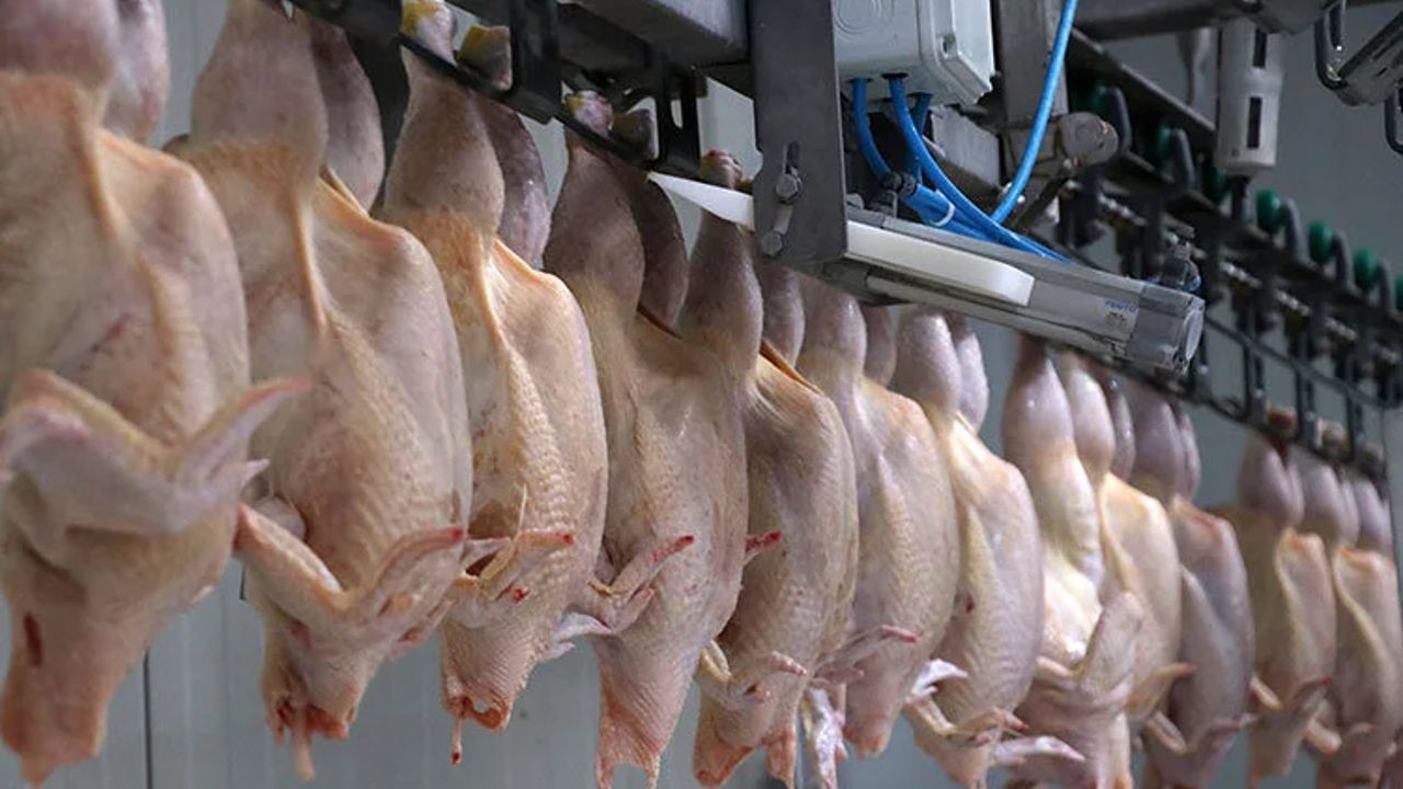 Kanatlietiihracatidurduruldu