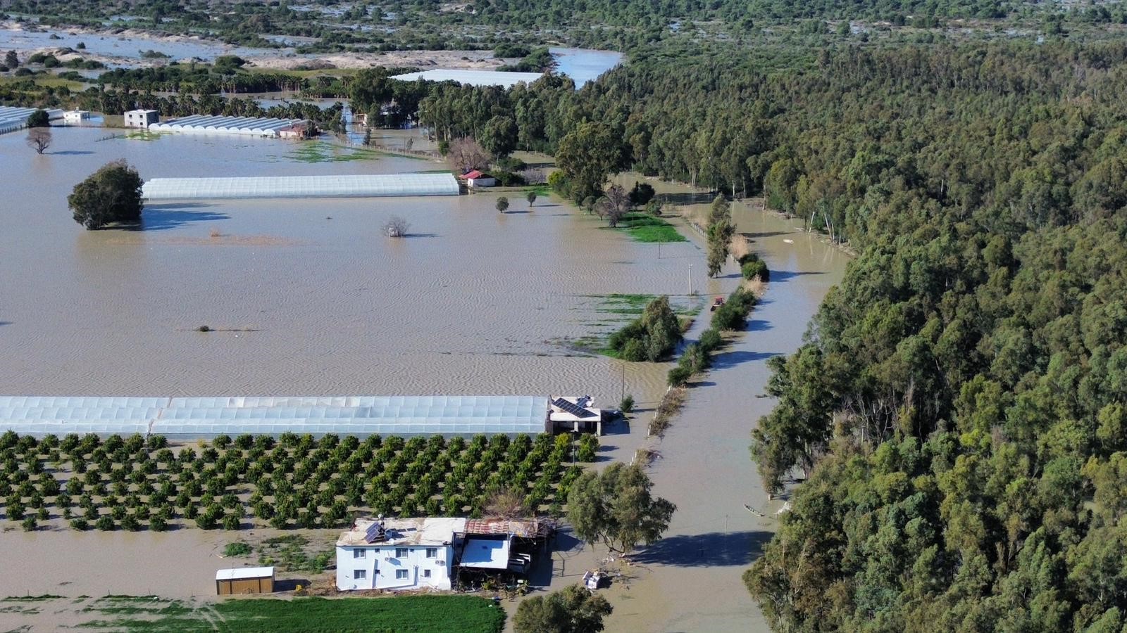 Kastaseralarisubasti