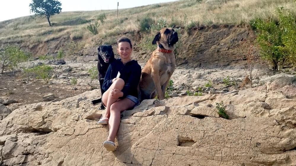 Kopekleribulanaparaodulu