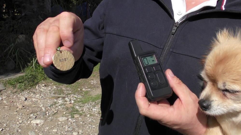 Kopeklerinbasınaparaodulu