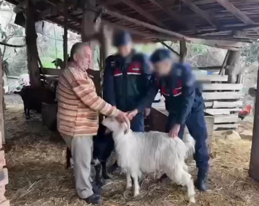 Kucukbashayvanlaricalmakisteyensahislarahapiscezasi