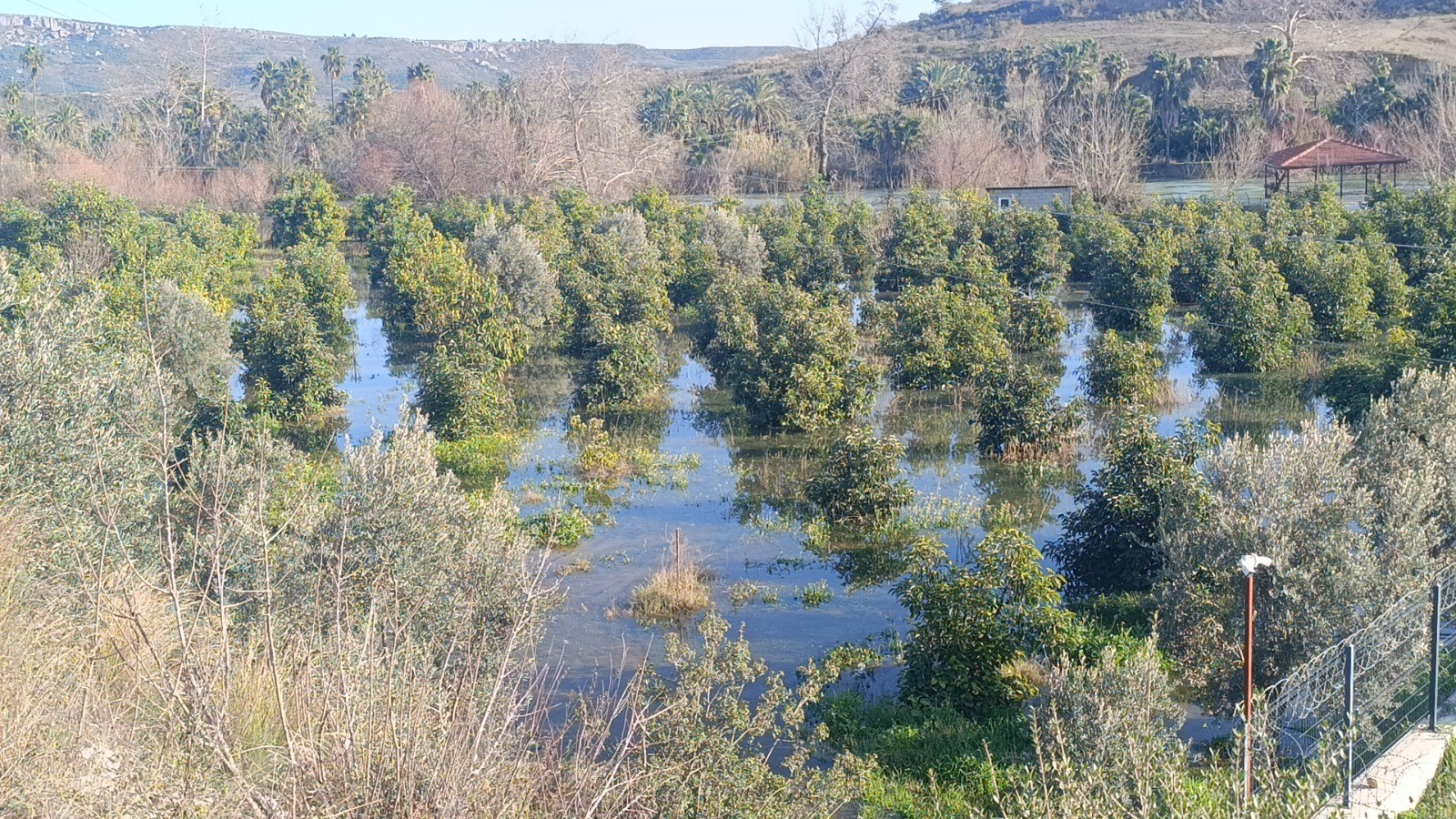 Manavgatirmagitastiortaliksavasalaninadondu