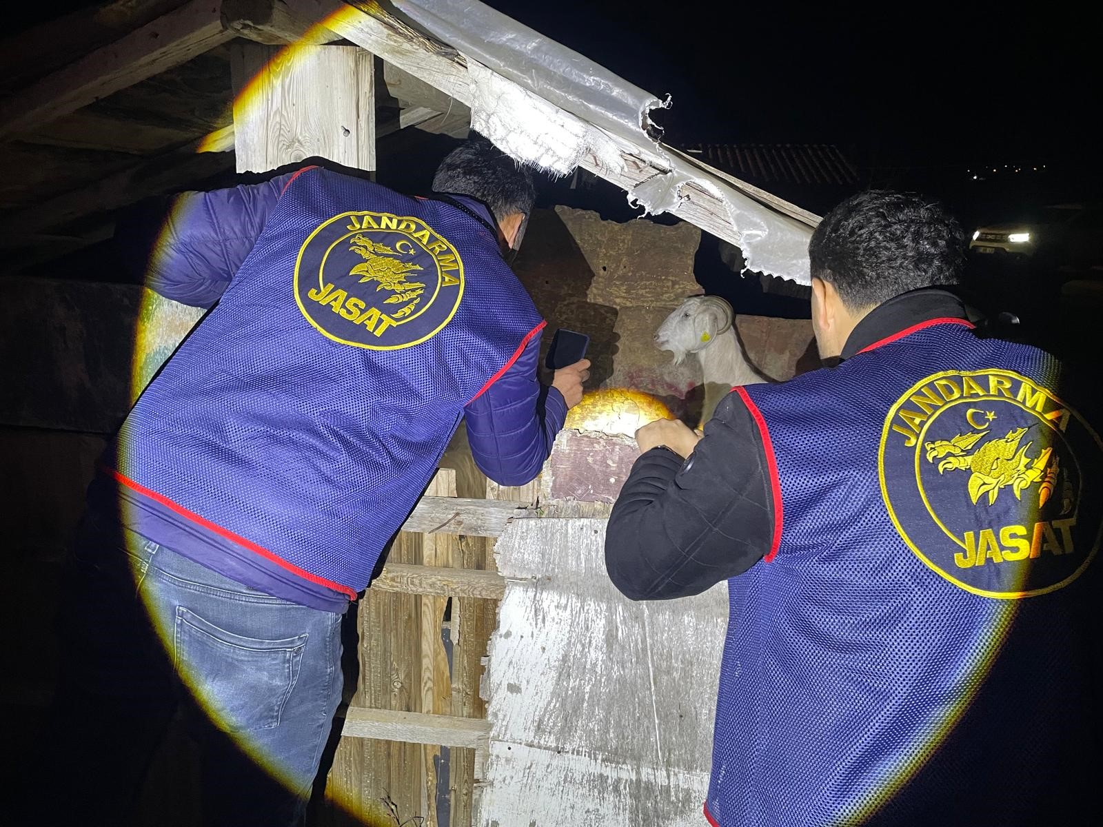 Manavgattakucukbashirsizligiaydinlatildioglaginolumuylegercekortayacikti