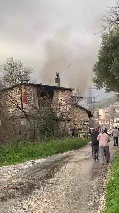 Manavgattayanginauykudayakalanmistiyaslikadinyasammucadelesinikaybetti