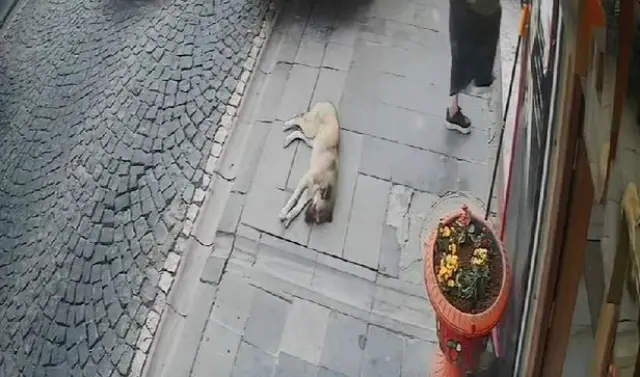 Marilynmonroecezaevindentahliyeedildi