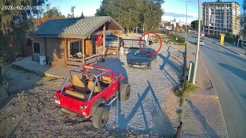 Musterisaniptokalasti