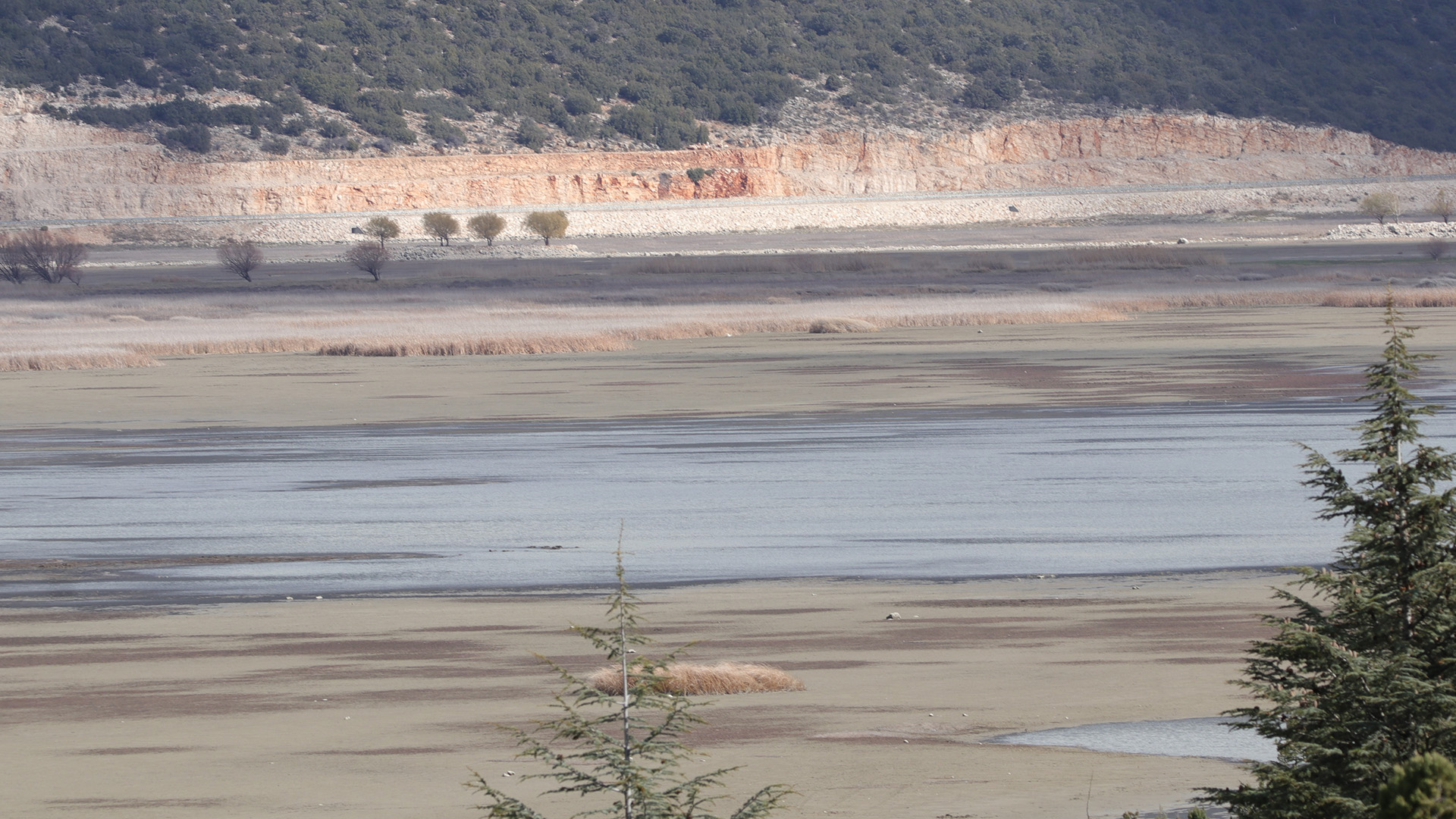 Rektorozkanaciklamalardabulundu