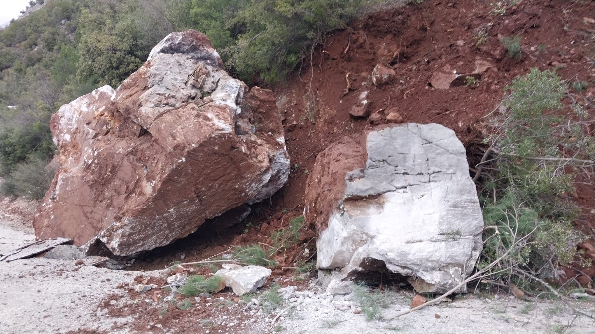 Saganaksehrifelcetti