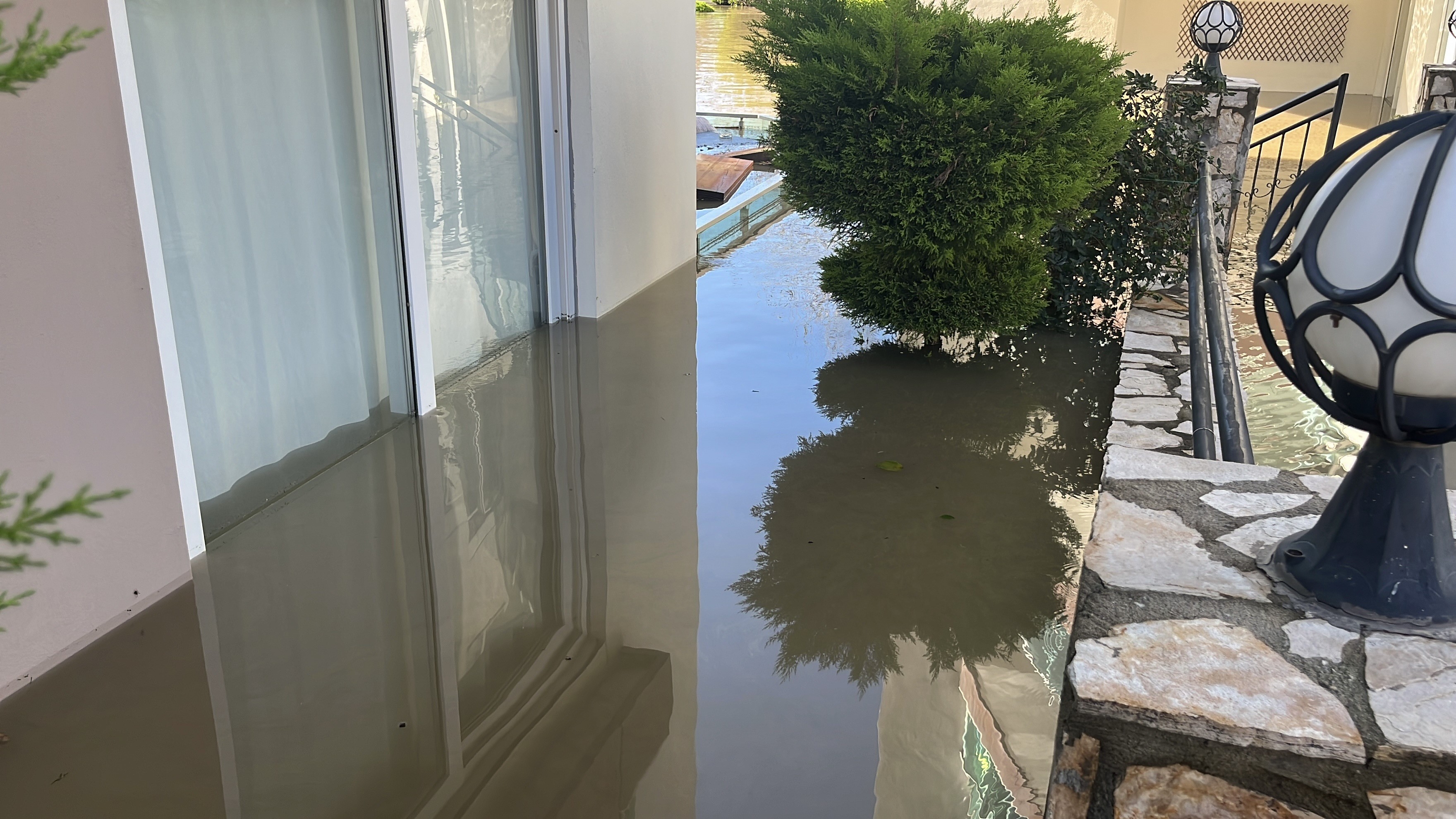 Selfelaketiisletmeyokoldukopeksonandakurtarildi