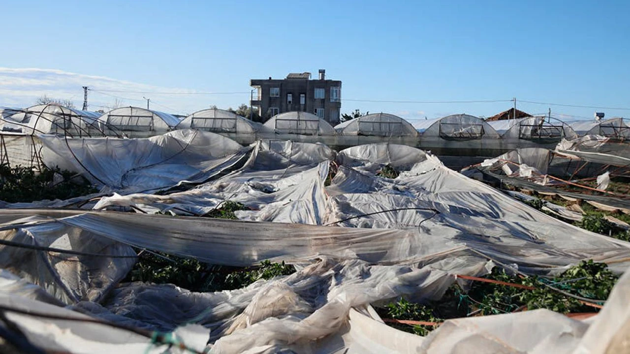 Selfelaketisebzelereyansidi